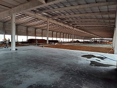 Elisabetha Administradora de Bens